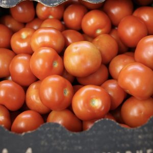 Carton tomate Roma